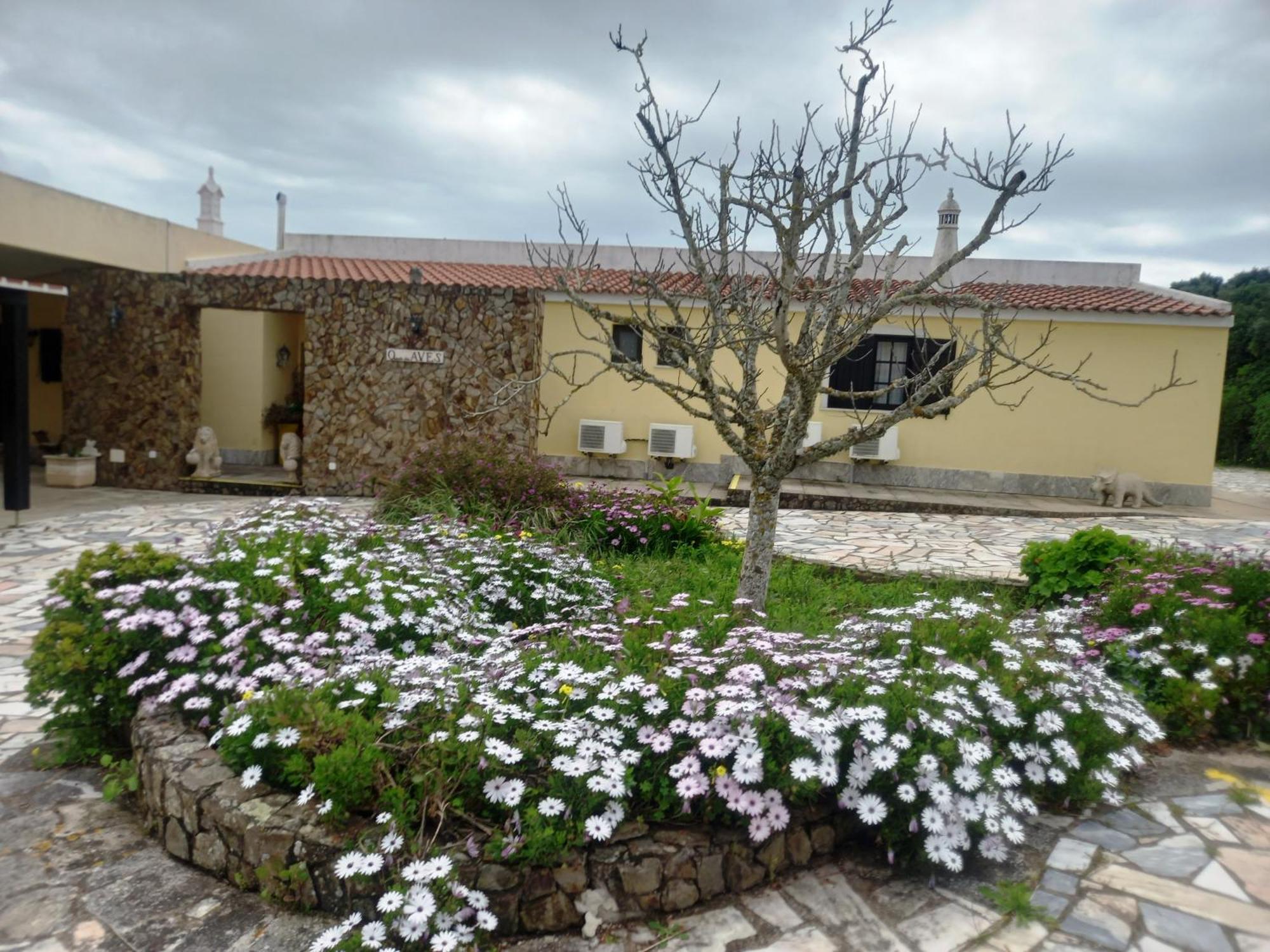 Quinta Das Aves Guest House Lagos Eksteriør bilde